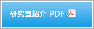 研究室紹介 PDF